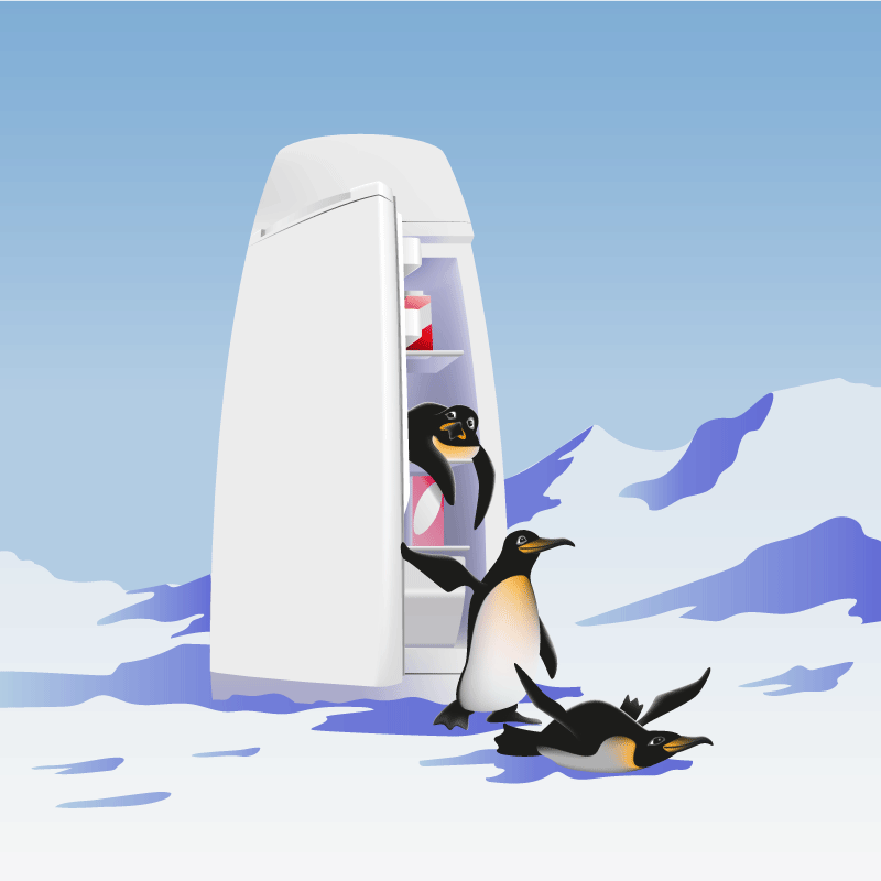 Picture penguins coming out of refrigerator.